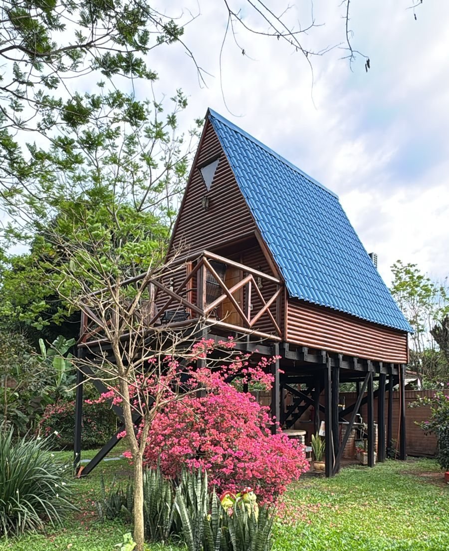 Cabaña alpina de madera con techo azul entre lapachos florecidos